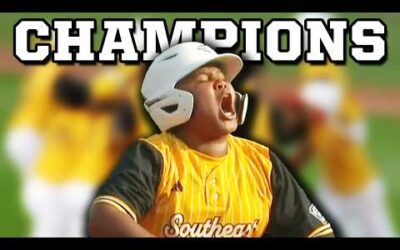 Florida beats Taiwan to win Little League World Series championship, a breakdown