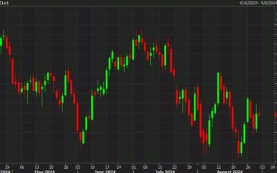 OPEC+ is likely to proceed with a planned gradual production increase from Oct — report