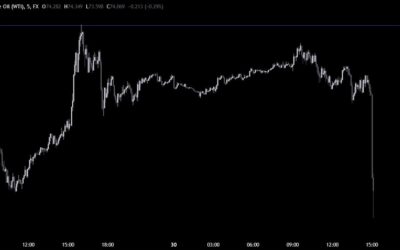 OPEC+ likely to proceed with planned output hike from October