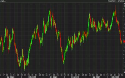 SocGen: CAD short covering far from over