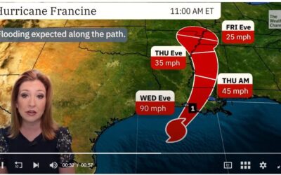 39% of Gulf of Mexico oil production shut due to Hurricane Francine