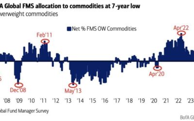 BofA fund manager survey: Investors best described as ‘nervous bulls’