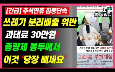 [긴급] 추석연휴 집중단속! 쓰레기 분리배출 위반 과태료 30만원! 종량제 봉투에서 이것 ‘당장 빼세요’]#3.1경제독립tv