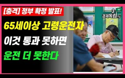 [정부확정발표]65세 이상 고령운전자! 이것 통과 못하면 앞으로 운전 더 못한다!]#3.1경제독립tv