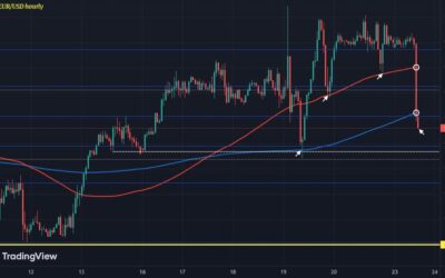 Euro pressured lower as traders step up ECB rate cut odds for October