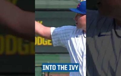 Ian Happ goes into the ivy to make the catch!