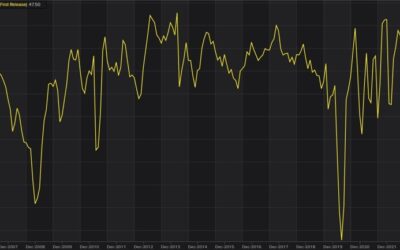 Japan economy watchers poll 49.0 vs 47.5 prior