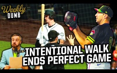 Max Scherzer’s perfect game broken up by intentional walk & Cat comes back to life | Weekly Dumb