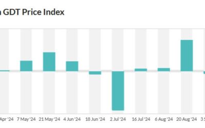 New Zealand GDT price index +0.8%