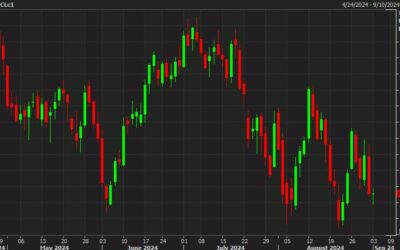 Novak: Russia to cut production to required level under OPEC+ deal by end of August