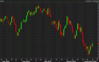 Oil squeezes higher as specs bet heavy against crude