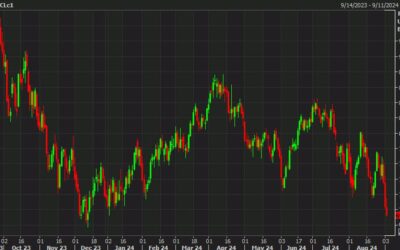 OPEC+ lifeline falls flat, WTI settles down $1.14