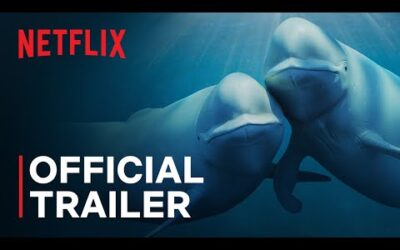 Our Oceans | Barack Obama | Official Trailer | Netflix