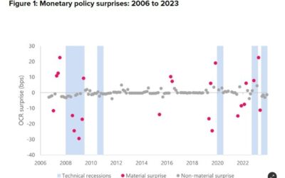 RBNZ says material monetary policy surprises are relatively rare.