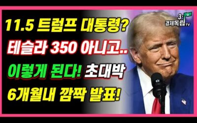 [11.5 트럼프 대통령 되면?? 테슬라 350 아니고..이렇게 된다!! 초대박? 6개월 내 깜짝 발표!! ]#3.1경제독립tv