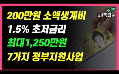 [200만원 소액생계비 지원! 1.5%초저금리 최대1,250만원 정부지원대부사업 7가지! 여기서 신청하세요]#3.1경제독립tv