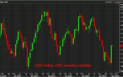 BNP like the the US dollar ahead of the US election, especially with geopolitical risk