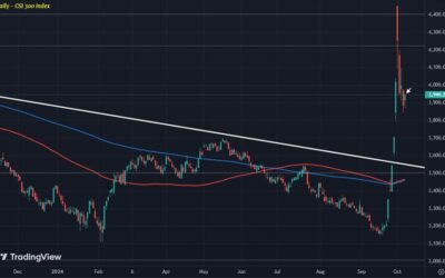 Chinese equities look to hold on to hope for now at least