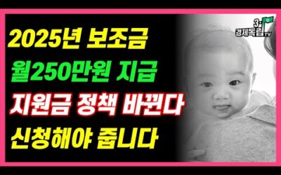 [월250만원 지급! 2025년 보조금 지원금 정책 바뀐다! 신청해야 줍니다! ]#3.1경제독립tv