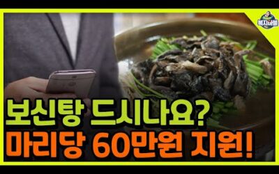 (정부발표)개 마리당 60만원 지원! 보신탕 드시나요?