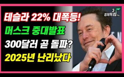 [테슬라 22% 대폭등!! 머스크 중대 발표? 300달러 곧 돌파?? 2025년, 난리났다!!]#3.1경제독립tv