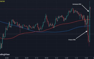 Euro gets on the PMI seesaw to start the session