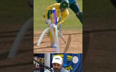 Ridiculously close call, a breakdown #cricket #wicket #sports #umpire