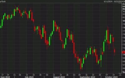 WTI crude oil falls 4% on signs Israel won’t strike Iran’s oil