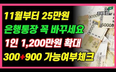 [11월부터 25만원! 은행통장 꼭 바꾸세요! 1인1,200만원 확대!300만원+900만원 가능여부 체크!!]#3.1경제독립tv