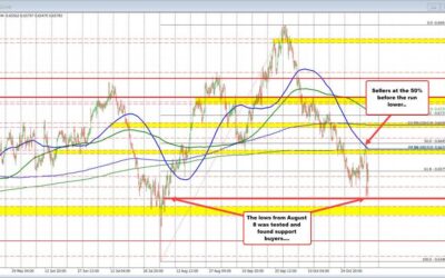 AUDUSD falls to lowest level since early August but bounces higher