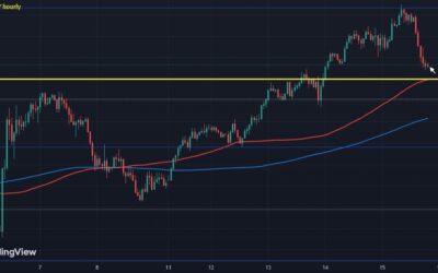 Dollar holds lower ahead of retail sales data