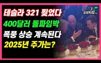 [속보-2부]테슬라폭등!321달러 찢었다! 400달러 돌파 임박! 폭풍랠리 계속된다.2025년 테슬라 주가는 이렇게 된다]#1부 영상 이어서 보셔요#3.1경제독립tv