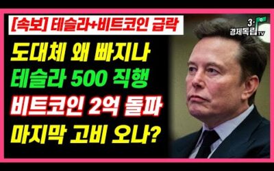 [속보] 테슬라+비트코인 급락! 도대체 왜 빠지나? 테슬라 500 직행, 비트코인 2억 돌파 전 마지막 고비 오나?]#3.1경제독립tv