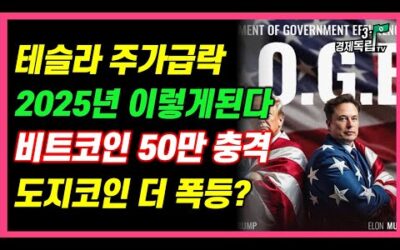 [속보]테슬라주가급락! 2025년 이렇게 된다! 월가 충격보고서! 비트코인 50만 충격전망! 도지코인 더 폭등하나?]#3.1경제독립tv