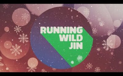 진 (Jin) ‘Running Wild (Holiday Remix)’ Visualizer