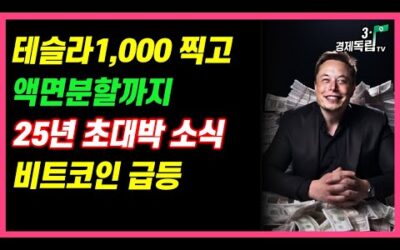 [테슬라 1,000 찍고 액면 분할까지? 25년 초대박 소식! + 비트코인 급등!]#3.1경제독립tv