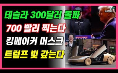 [테슬라 300달러 돌파!! 700 빨리 찍는다?? 킹 메이커 머스크!! 트럼프 빚 갚는다!! ]#3.1경제독립tv