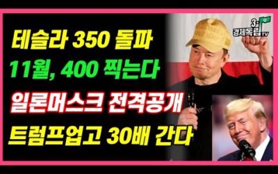 [테슬라 350 돌파!! 11월, 400 찍는다! 일론 머스크 전격 공개!! 트럼프 업고 30배 간다!]#3.1경제독립tv