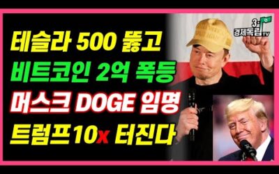 [테슬라 500 뚫고, 비트코인 2억 폭등?? 머스크 DOGE 임명!! 트럼프 10x 터진다!! ]#3.1경제독립tv