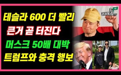 [테슬라 600 더 빨리!! 큰 거 곧 터진다!! 머스크 50배 대박!! 트럼프와 충격 횡보!! ]#3.1경제독립tv