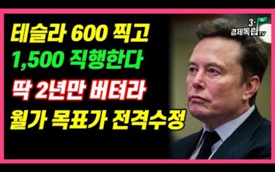 [테슬라 600 찍고 1,500직행한다. 딱 2년만 버텨라! 월가 목표가 전격수정! 비트코인 연말 급등 대박난다 ]#3.1경제독립tv