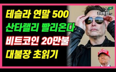 [테슬라 연말 500, 산타랠리 빨리 온다!! 비트코인 20만불, 대불장 초읽기!!]#3.1경제독립tv