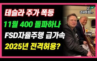 [테슬라 주가 폭등!! 11월, 400 돌파하나?? FSD 자율주행 급가속!! 2025년 전격허용?? ]#3.1경제독립tv