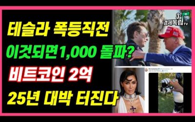 [테슬라 폭등 직전!! 이것 되면 1000 돌파?? 비트코인 2억, 25년 대박 터진다!!]#3.1경제독립tv