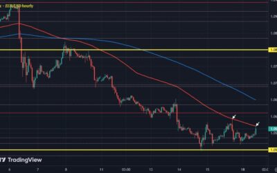 EUR/USD continues to hold the line, draws in key near-term level