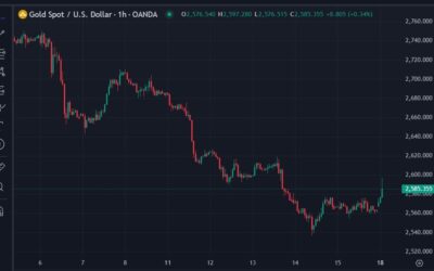 Got gold? Jumps back above US$2590