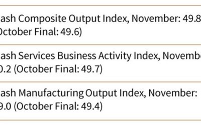 Japan preliminary November manufacturing PMI 49.0 (prior 49.2)