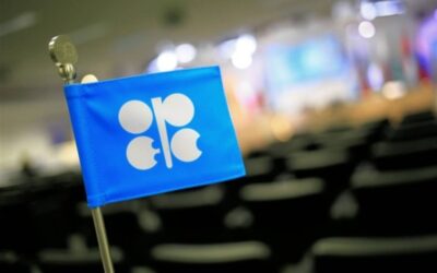 Oil traders – OPEC+ announced it will delay planned December output increase by one month