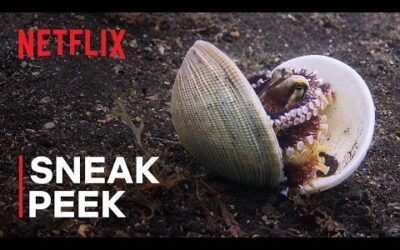 Our Oceans | Clever Octopus Shoots Fish | Sneak Peek | Netflix