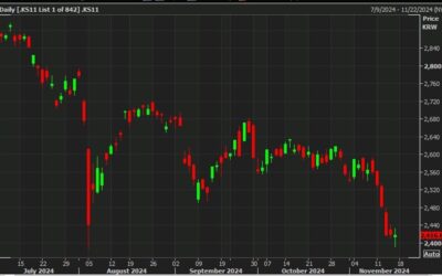 South Korea official says stock mkt decline a little excessive, will stabilize as needed